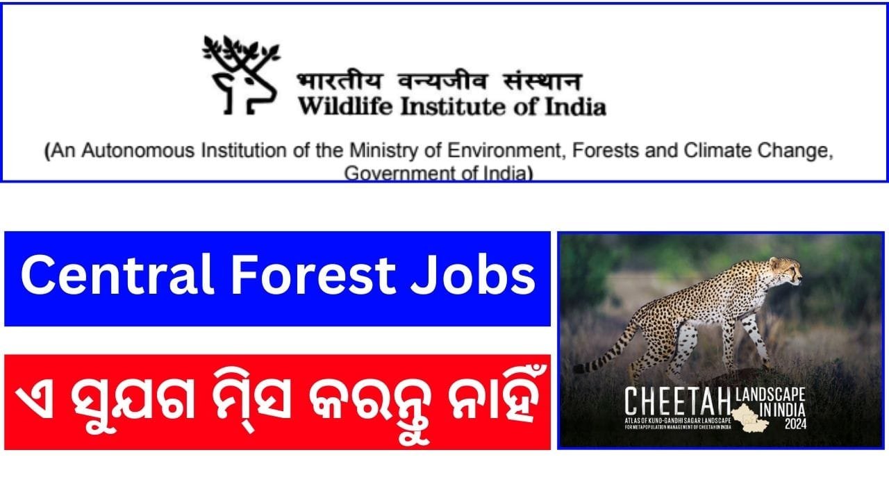 central government joibs